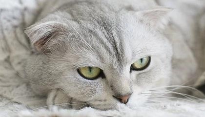 2025年最新有正规捐卵机构吗多少钱啊推荐(今日分享捐卵有正规医院吗)